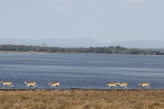 Lake Shiwa