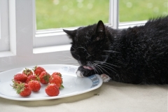 Boots with strawberries