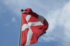 The Danish Flag